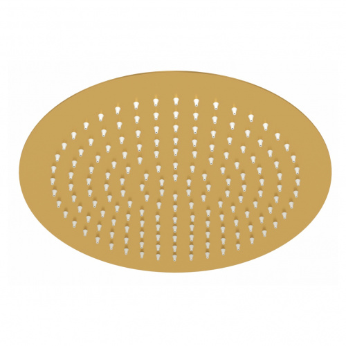 картинка A262 Верхняя душевая насадка от магазина Сантехстрой