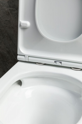 картинка Чаша напольного унитаза Allen Brau Priority Tornado 4.31006.20 белый глянец от магазина Сантехстрой