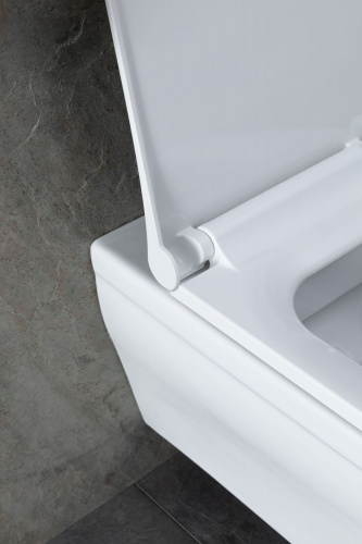 картинка Чаша подвесного унитаза Allen Brau Infinity 4.21011.20 белый глянец от магазина Сантехстрой