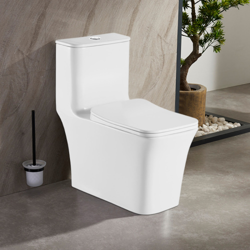 картинка Унитаз-моноблок AZARIO GRESSA 705х370х760 напольный безободковый в комплекте с сиденьем дюропласт микролифт, белый (AZ-1111) от магазина Сантехстрой