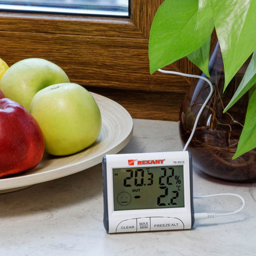 картинка Термогигрометр комнатно-уличный REXANT от магазина Сантехстрой