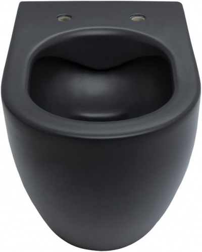 картинка Чаша подвесного унитаза Allen Brau Reality 4.32006.31 черный матовый от магазина Сантехстрой