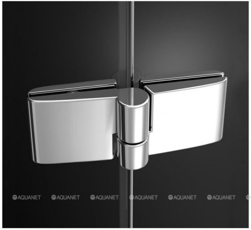 картинка Душевая дверь Ravak SmartLine SMSD2-100 B-R 0SPABA00Z1 от магазина Сантехстрой