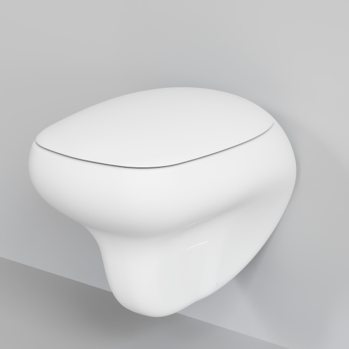 картинка Унитаз Diamond 123T20101R (530*405*375) МАТОВЫЙ БЕЛЫЙ подвесной БЕЗОБОДКОВЫЙ, 1 место от магазина Сантехстрой