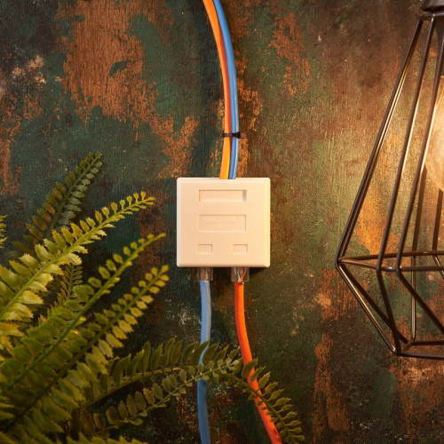 картинка Розетка комбинированная внешняя,  UTP RJ-45(8P-8C) + RJ-11(6P-4C) REXANT от магазина Сантехстрой