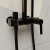 картинка Душевая система RGW Shower Panels SP-31B 51140131-04 Черная матовая от магазина Сантехстрой