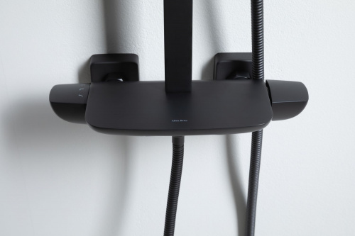 картинка Душевая стойка Allen Brau Infinity 5.21030-31 черный матовый от магазина Сантехстрой