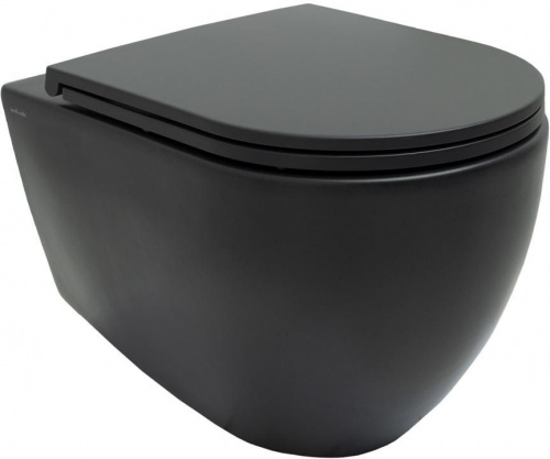 картинка Чаша подвесного унитаза Allen Brau Reality 4.32006.31 черный матовый от магазина Сантехстрой