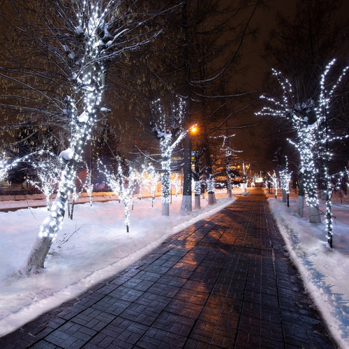 картинка Гирлянда LED Клип-лайт 12 V,  прозрачный ПВХ,  150 мм,  цвет диодов белый от магазина Сантехстрой