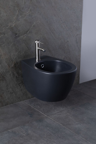 картинка Биде подвесное Allen Brau Fantasy 4.11006.AN антрацит от магазина Сантехстрой