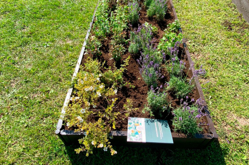 картинка Gardeck Доска грядочная NauticPrime 225*30*2950мм, венге от магазина Сантехстрой