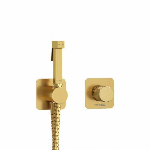 фото a8251.285.237.213 встраиваемый комплект для биде со шлангом