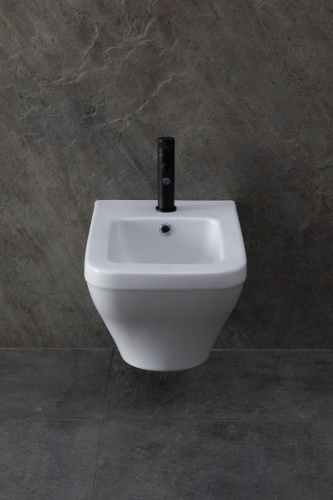 картинка Биде подвесное Allen Brau Infinity 4.21014.20 белый глянец от магазина Сантехстрой