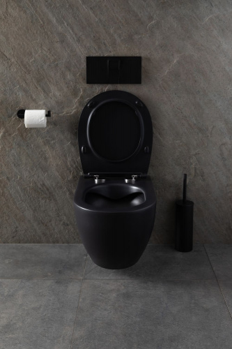 картинка Чаша подвесного унитаза Allen Brau Reality 4.32006.31 черный матовый от магазина Сантехстрой