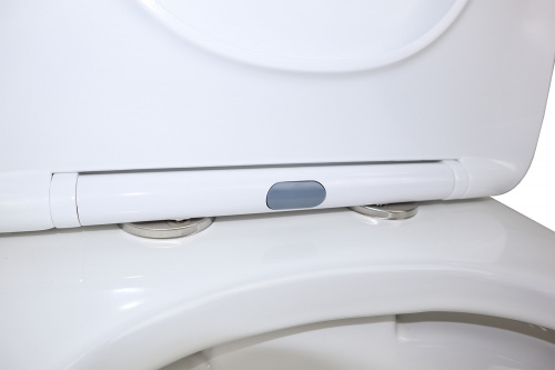 картинка Унитаз-компакт Azario Fresco 360х620х800 напольный, безободковый, с быстросъемным сиденьем микролифт (AZ-8302) от магазина Сантехстрой