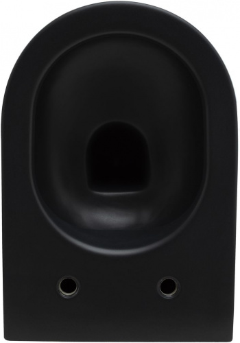 картинка Чаша подвесного унитаза Allen Brau Reality 4.32006.31 черный матовый от магазина Сантехстрой