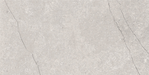 картинка Плитка керамогранитная AZARIO FOSSIL GREY 60х120 Matt (E4040821120M) от магазина Сантехстрой