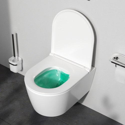 картинка C8F1700SC Func подвесной унитаз 49 см FlashClean с сиденьем микролифт от магазина Сантехстрой