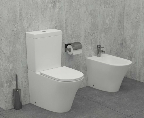 картинка Биде Jacob Delafon Rodin+ EBJ0002-00 Белое от магазина Сантехстрой