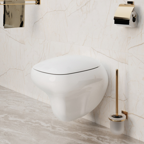 картинка Сиденье д/унитаза Ambassador Diamond 122T20001 (толстое) БЕЛОЕ от магазина Сантехстрой