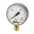 картинка Манометр радиальный F+R250 WATTS Ind 1/2" 100 мм 16 бар от магазина Сантехстрой