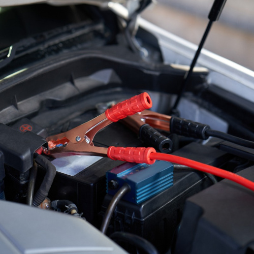 картинка Провода прикуривания 500 Ампер в чехле на молнии REXANT от магазина Сантехстрой