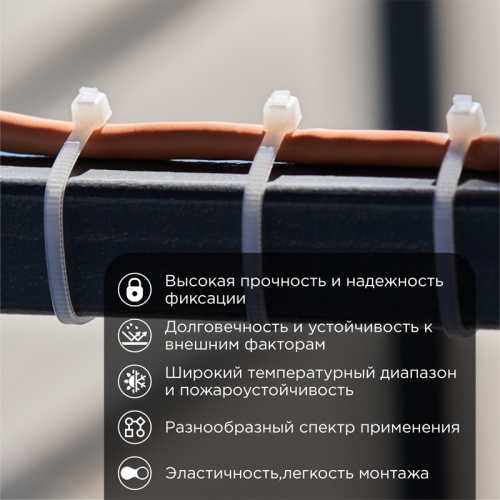 картинка Хомут-стяжка кабельная нейлоновая 100x2,5мм,  белая (100 шт/уп) REXANT от магазина Сантехстрой