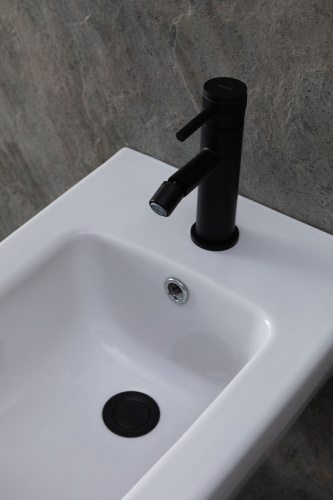 картинка Биде подвесное Allen Brau Infinity 4.21014.20 белый глянец от магазина Сантехстрой