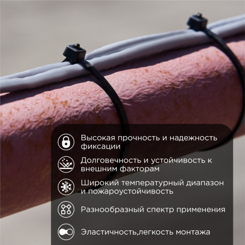 картинка Хомут-стяжка кабельная нейлоновая 250x7,6мм,  черная (100 шт/уп) REXANT от магазина Сантехстрой