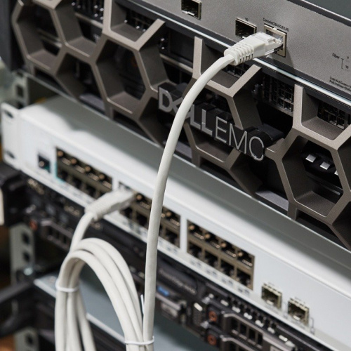 картинка Шнур коммутационный,  патч-корд U/UTP RJ45-RJ45, CAT 5e,  LSZH серый,  2м REXANT от магазина Сантехстрой