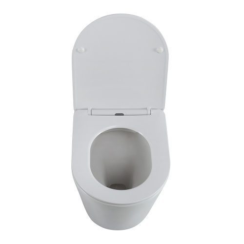 картинка Унитаз приставной безободковый с сиденьем BelBagno FLAY-R BB1003CBR/SC от магазина Сантехстрой