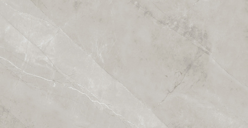 картинка Плитка керамогранитная AZARIO VIVYEN GREY 60х120 Glossy (F4060821120G) от магазина Сантехстрой