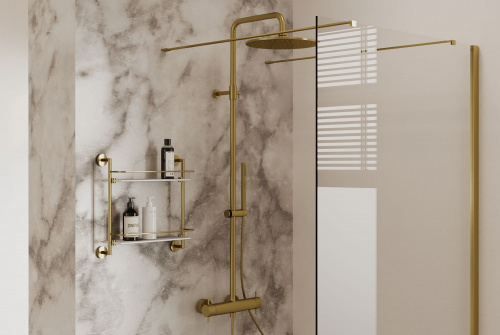 картинка Душевая стойка Allen Brau Fantasy 5.11001-GB золото от магазина Сантехстрой