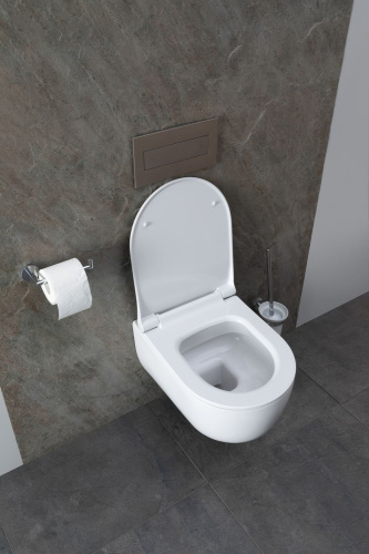 картинка Чаша подвесного унитаза Allen Brau Priority 4.31002.20 белый глянец от магазина Сантехстрой